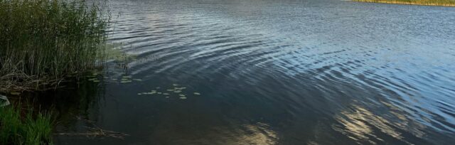 В Тверской области спасатели вытащили из озера тело неизвестного человека