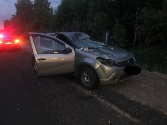 В Тверской области водителя увезли на скорой после столкновения с лосем