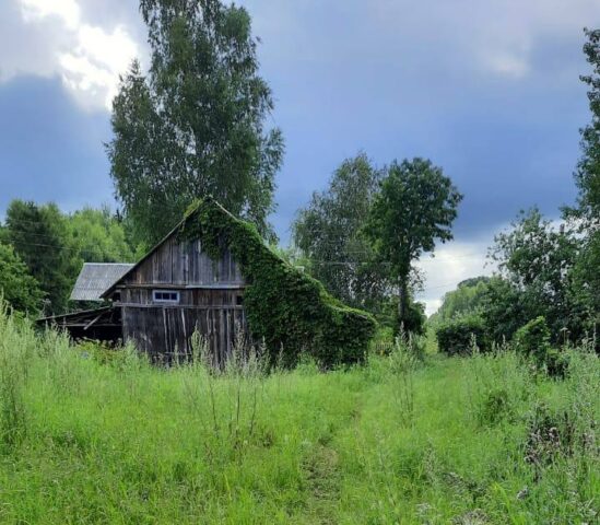 В Тверской области подросток почти до смерти избил 8-летнюю девочку