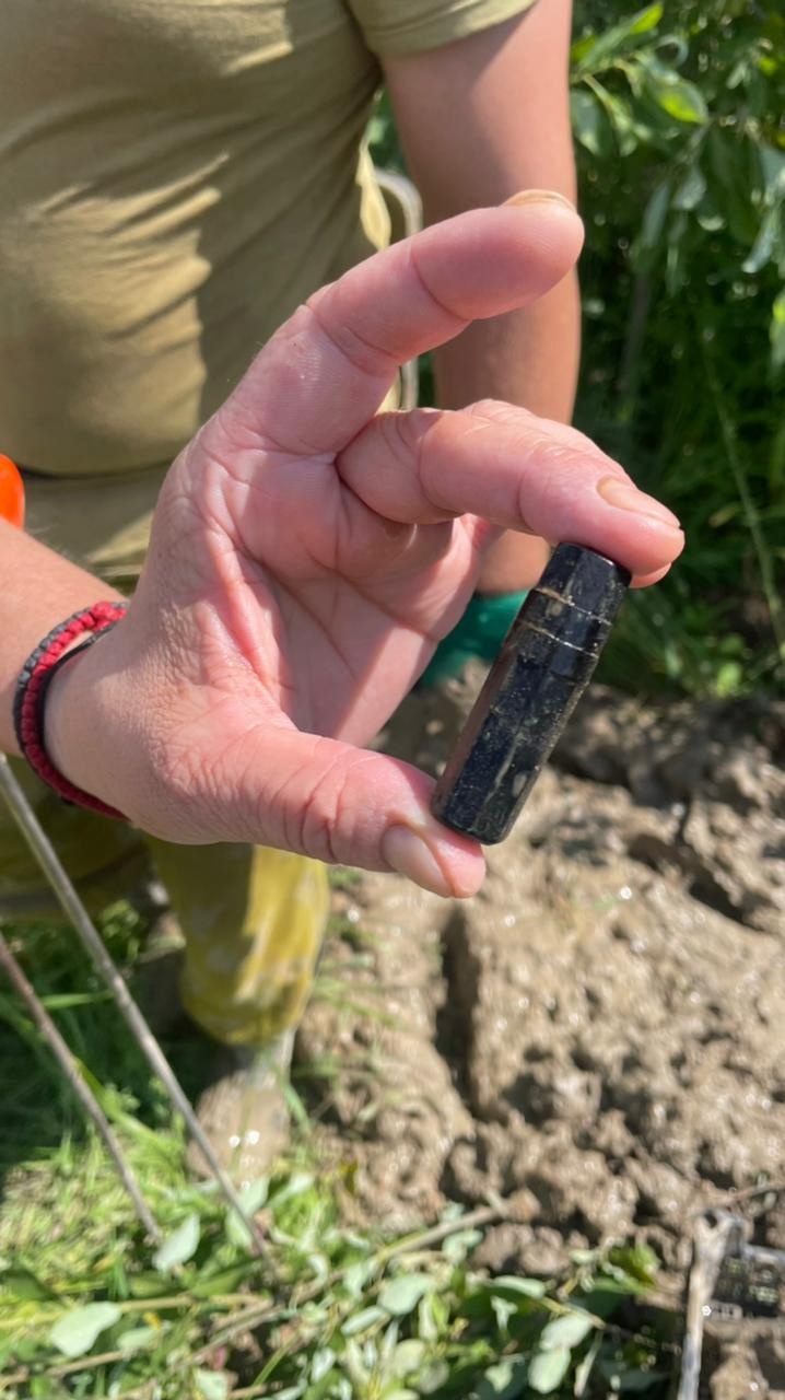 В Ржевском районе поисковики нашли записку в медальоне солдата В Ржевском районе поисковики нашли записку в медальоне солдата