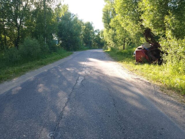 В Тверской области иномарка протаранила дерево - водитель погиб
