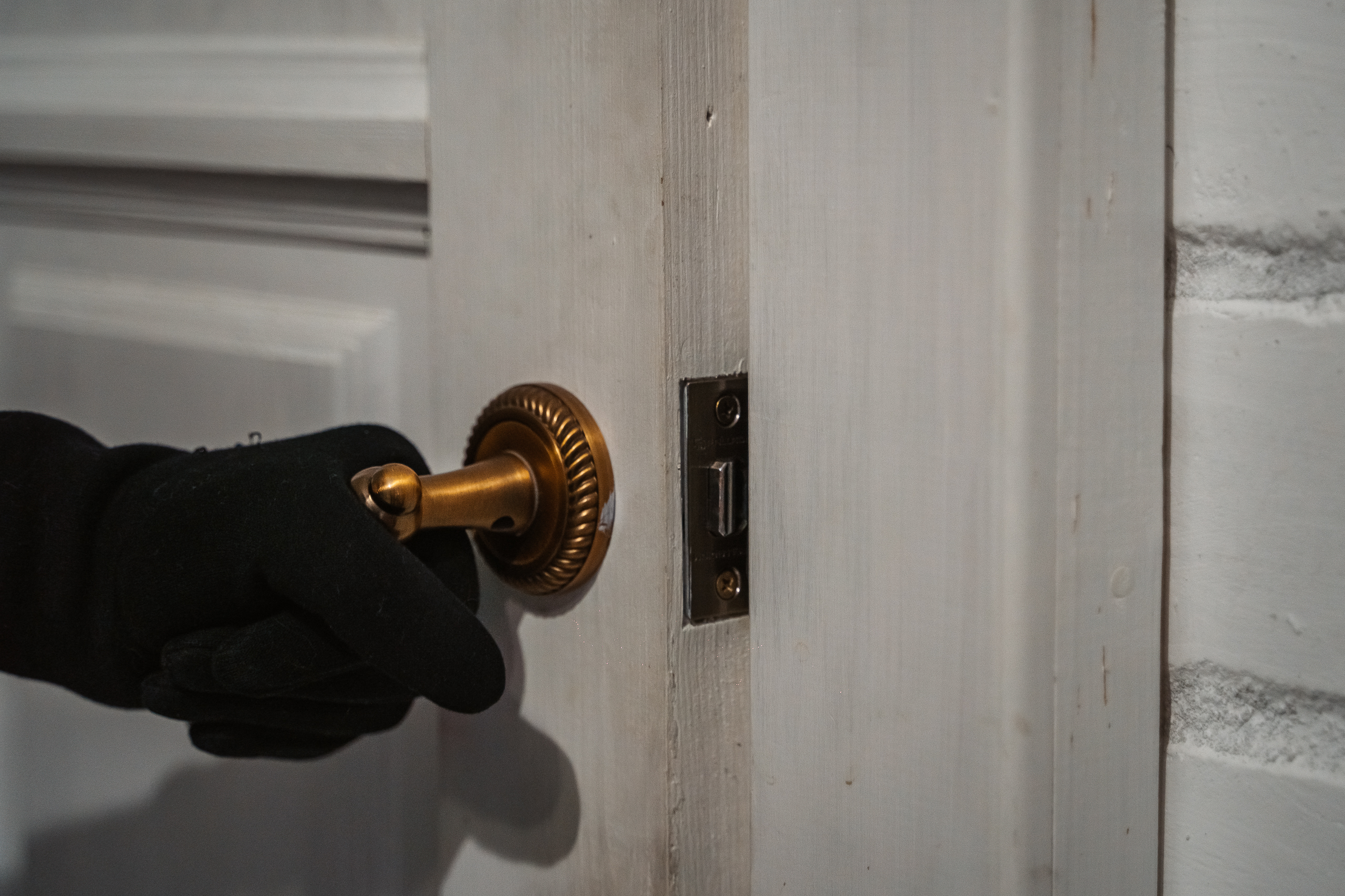 Швейная машинка и мясо привлекли вора в одном из домов Тверской области