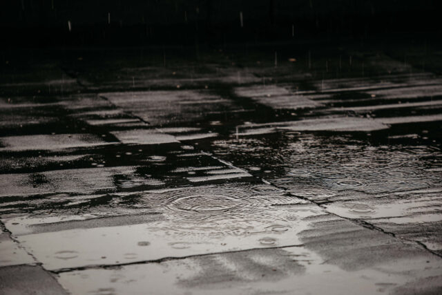 В пятницу в Тверской области вновь пройдут дожди