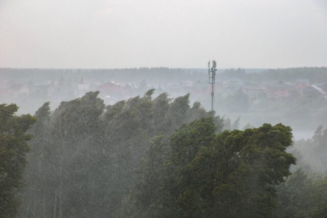Во вторник в Тверской области будет ветрено Во вторник в Тверской области будет ветрено