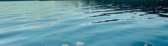 В Тверской области в озере обнаружили тело человека