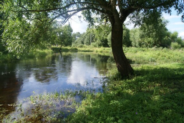В Тверской области обнаружили тело мужчины в водоеме