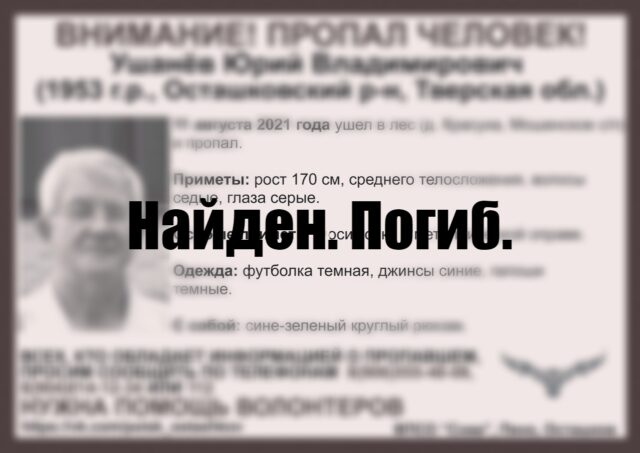 Почти год в Тверской области разыскивали ушедшего в лес пенсионера