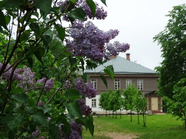 В музее Валентина Серова пройдет первый этап проекта Минкультуры РФ «Классика: история и современность»