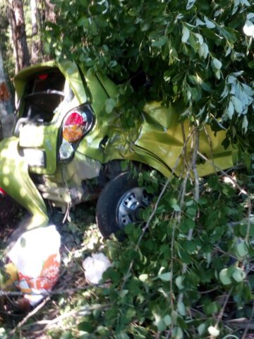 В Тверской области женщина-водитель съехала с дороги и врезалась в дерево