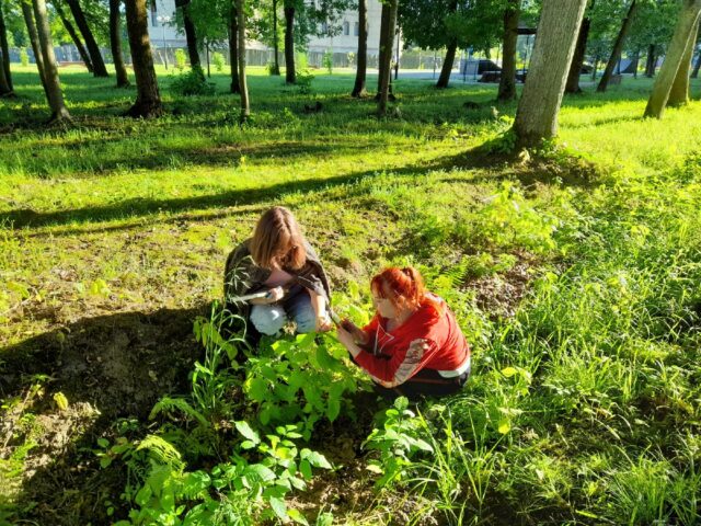 В Нелидово участники уникальной экскурсии узнали больше о папоротнике