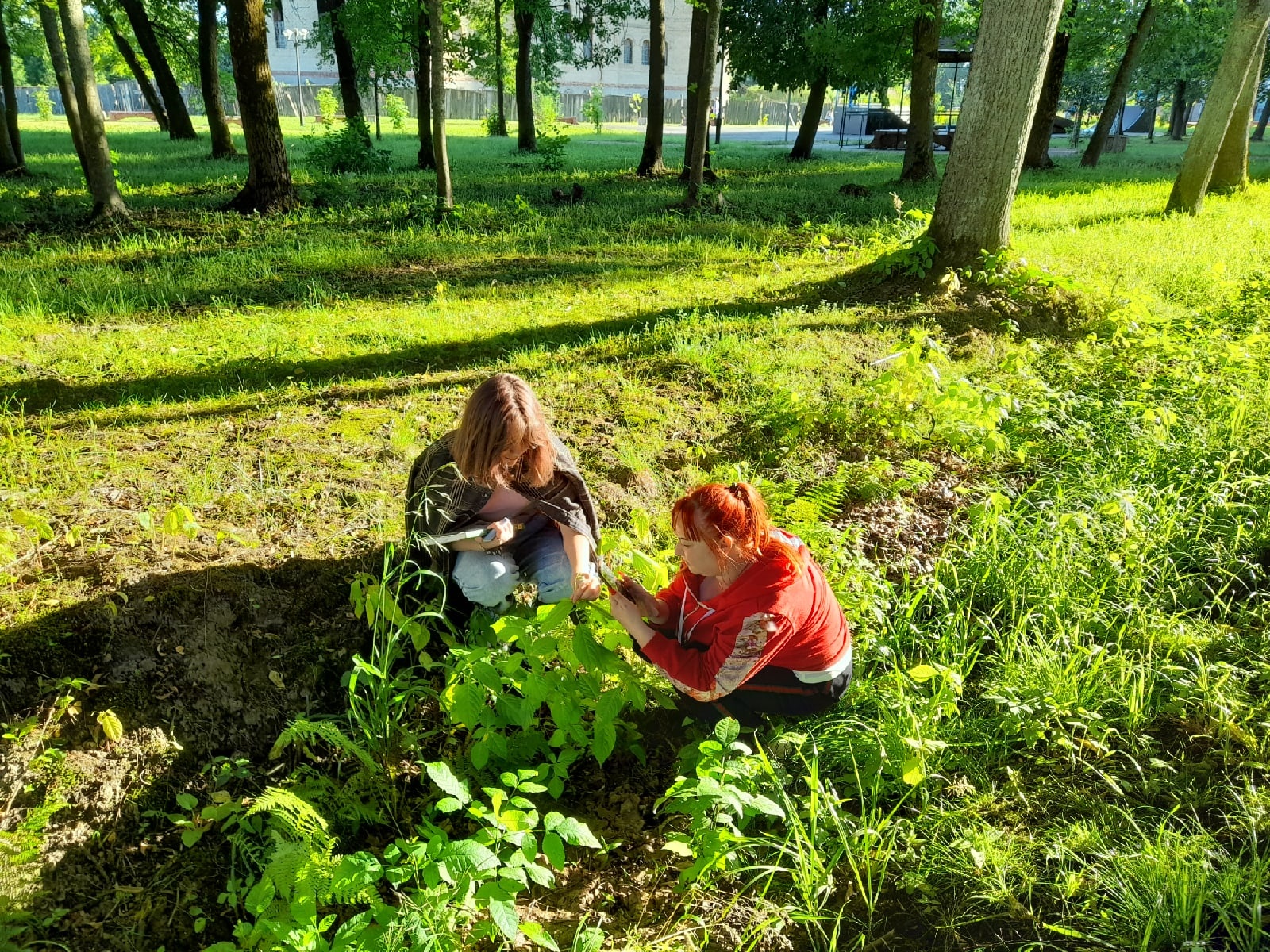 В Нелидово участники уникальной экскурсии узнали больше о папоротнике