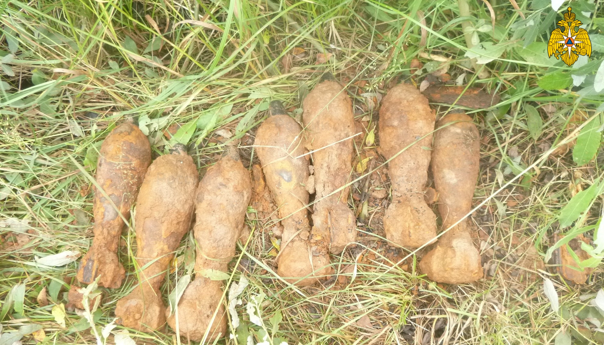 Обезврежены взрывоопасные предметы времён Великой Отечественной войны в Тверской области