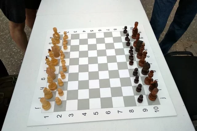 Медвежьи шахматы в центре Твери