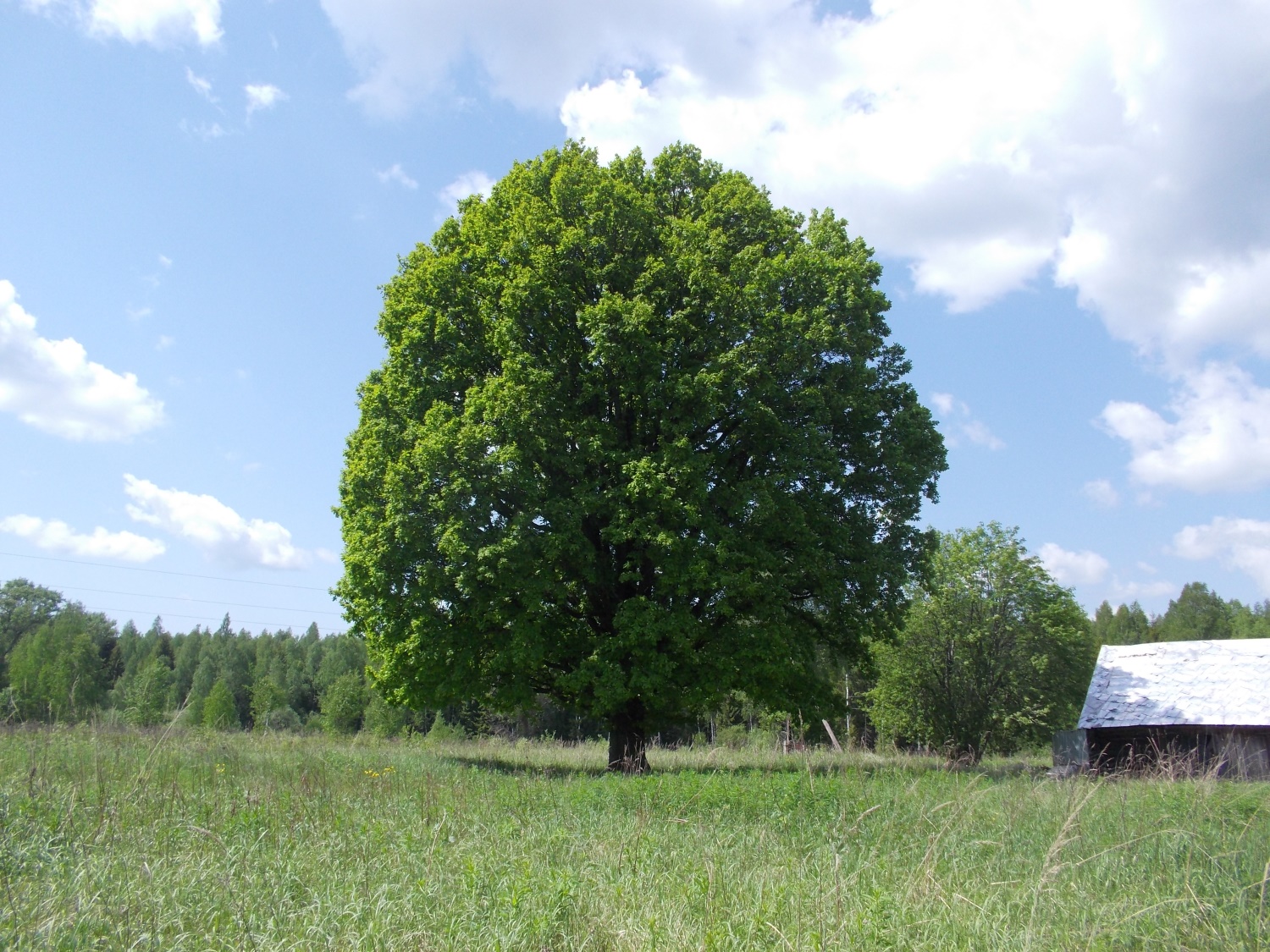 В Тверской области утверждены границы шести охраняемых природных территорий