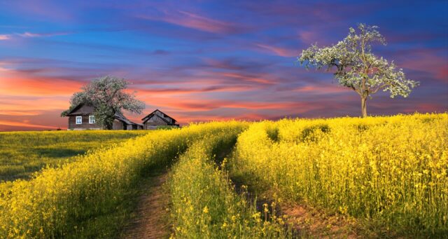 В Твери откроется выставка документальной и художественной фотографии «Чудное приволье»