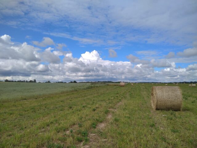 Профилактические визиты – способ предотвращения нарушений законодательства