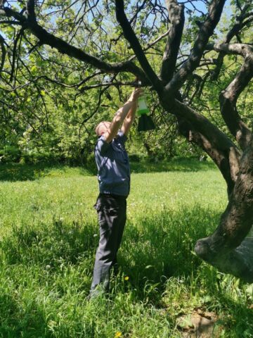 В Тверской области установлено 1600 феромонных ловушек