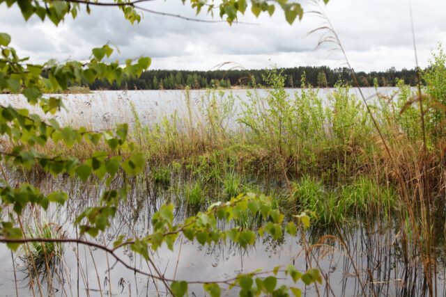 Следователи проводят проверку по факту гибели мужчины в Осташкове