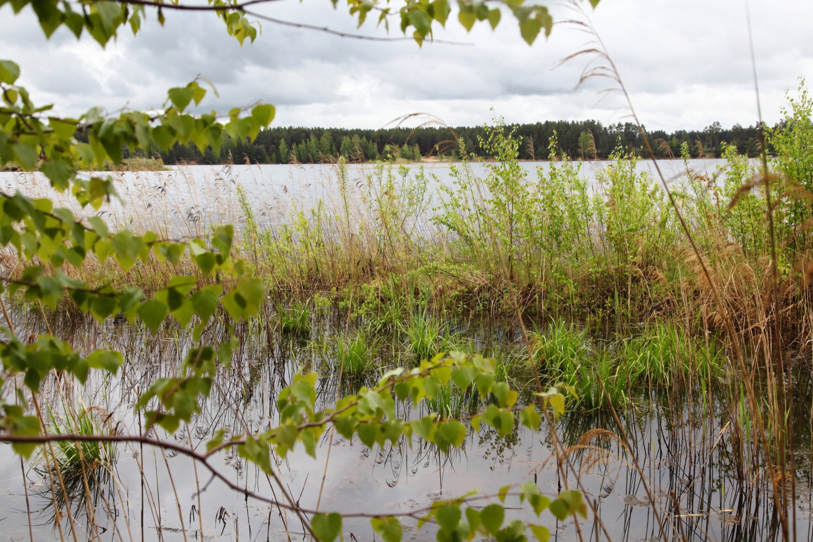 Следователи проводят проверку по факту гибели мужчины в Осташкове