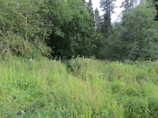 Житель Тверской области попался на незаконной охоте Житель Тверской области попался на незаконной охоте