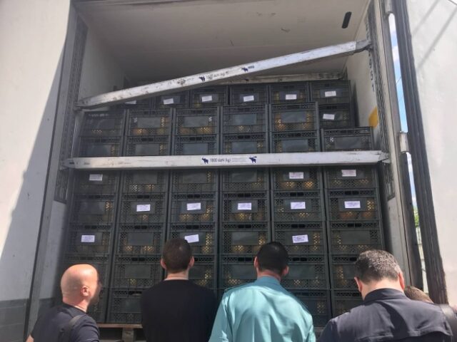 Россельхознадзор подвел итоги ветеринарного надзора за минувшую неделю