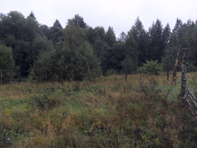 Управлением Россельхознадзора вынесено постановление о привлечении к ответственности собственника неиспользуемых сельхозугодий