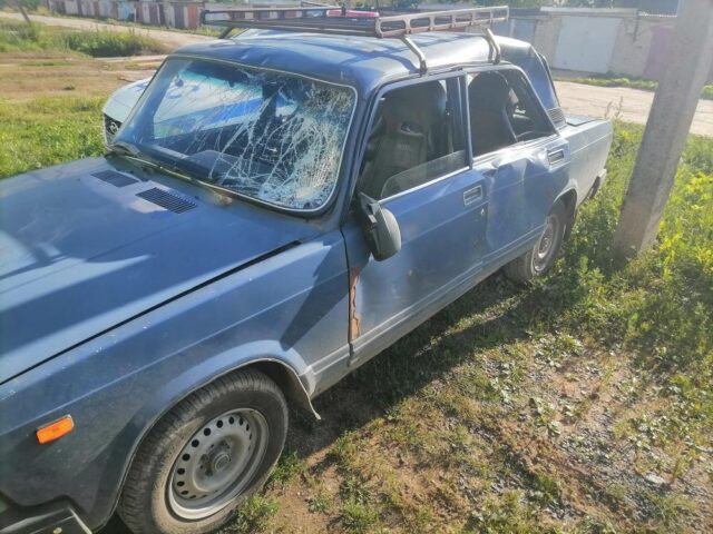 Маленький ребенок получил травмы в ДТП с лосем в Тверской области Маленький ребенок получил травмы в ДТП с лосем в Тверской области