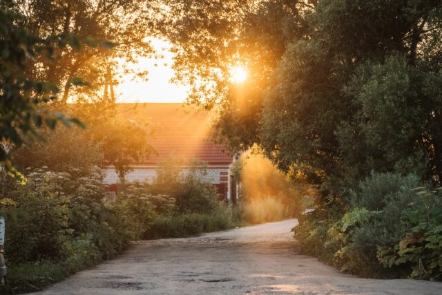 В Тверскую область вновь вернется 30-градусная жара