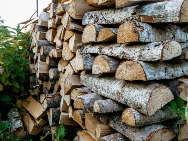 Житель Тверской области наломал дров и получил условный срок