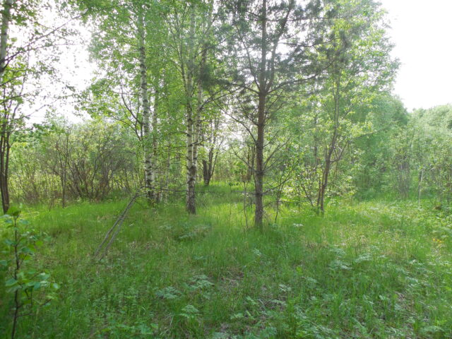 В Тверской области мировой суд назначил землевладельцу штраф в двукратном размере