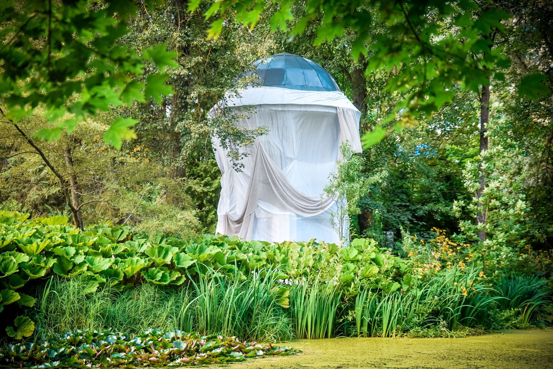 В тверском Ботаническом саду состоялось открытие восстановленной ротонды