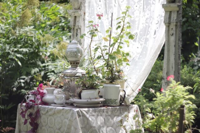 Тверской ботанический сад приглашает посмотреть на бега улиток