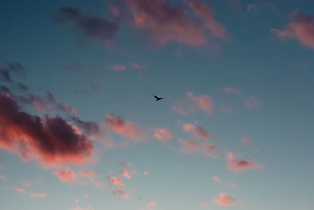 Во вторник в Тверской области не будет дождя
