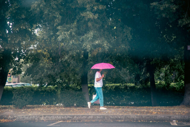 Последний день августа в Тверской области будет дождливым В субботу в Тверской области пройдут дожди