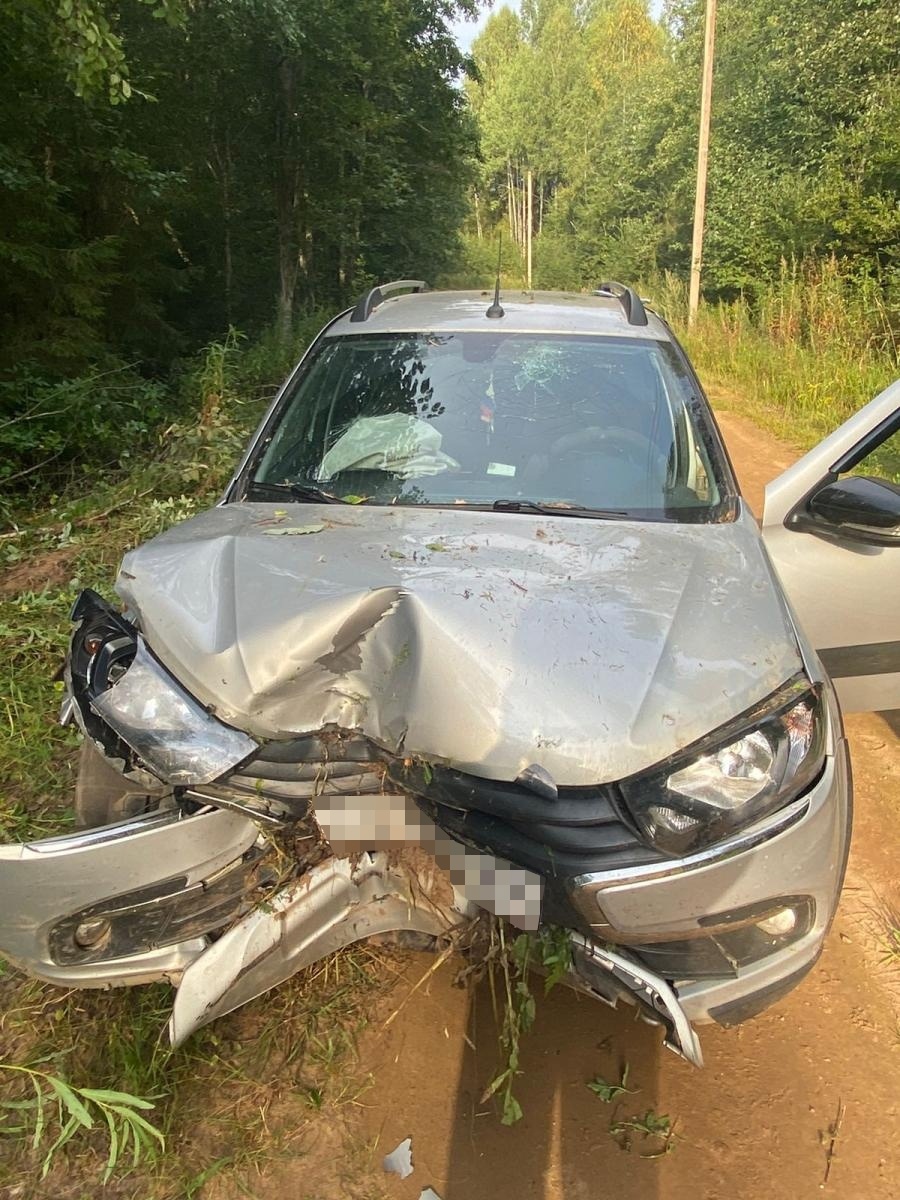 В Тверской области в аварии пострадал 8-летний ребенок