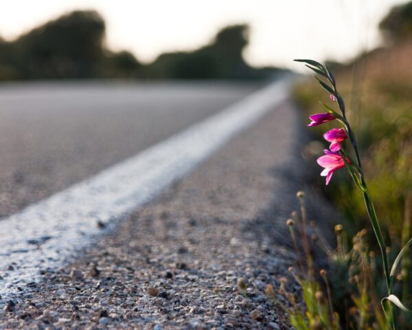 В Тверской области за сутки не зарегистрировано ДТП с пострадавшими