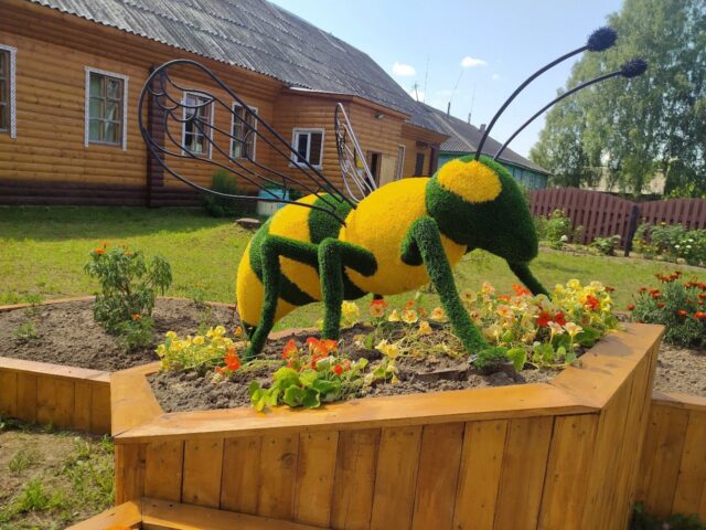 В Тверской области на выходных пройдут туристические, культурные и спортивные события В Тверской области на выходных пройдут туристические, культурные и спортивные события