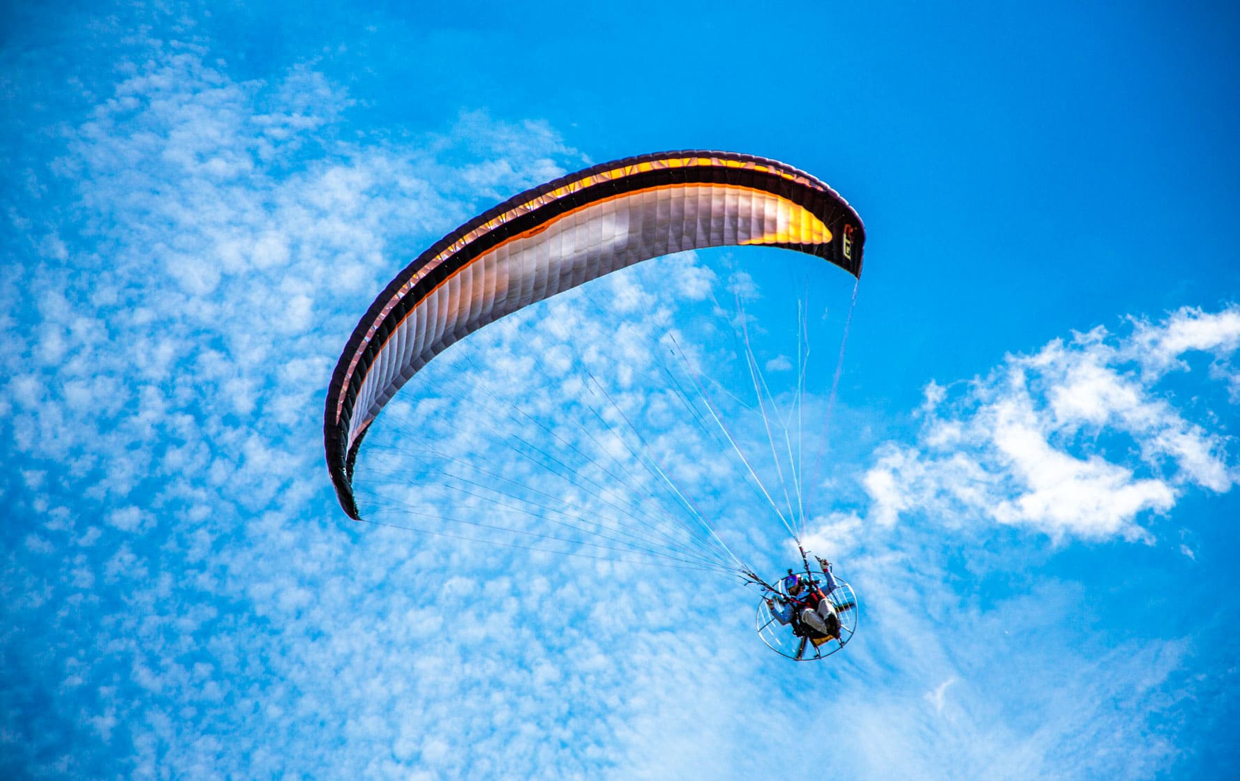 В Твери отметили 92-ю годовщину со дня основания Воздушно-десантных войск России В Твери отметили 92-ю годовщину со дня основания Воздушно-десантных войск России