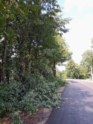 В одном из городов Тверской области позаботились о безопасности водителей