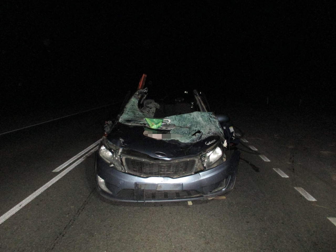 В Тверской области в ДТП с лосем погиб человек