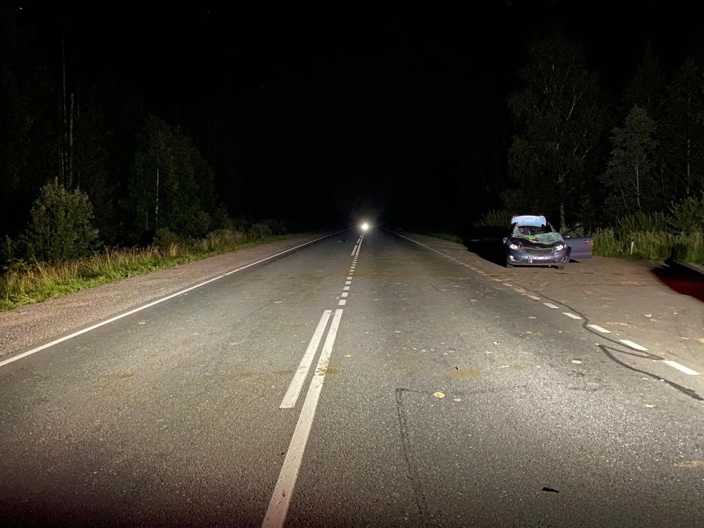 В Тверской области в ДТП с лосем погиб человек