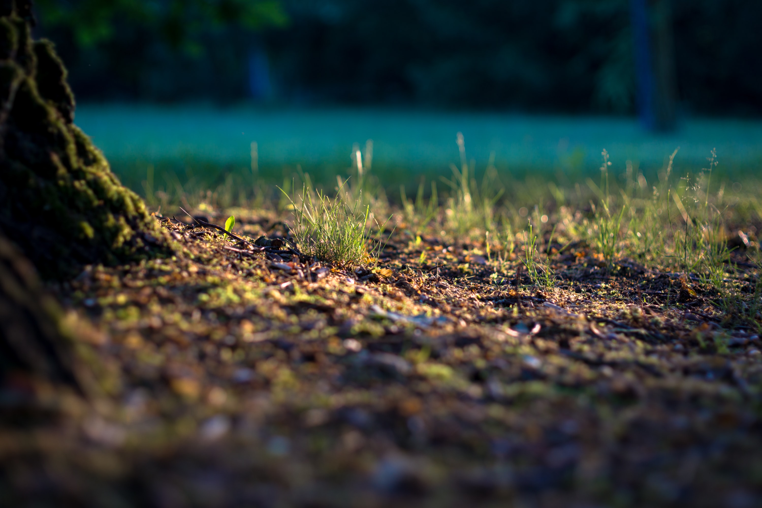 В Тверской области призвали к ответу гражданина, загрязнившего почву