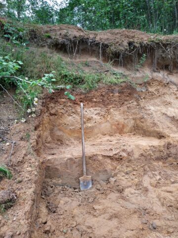 В Тверской области ведутся раскопки на месте обнаружения черепа мамонта В Тверской области ведутся раскопки на месте обнаружения черепа мамонта