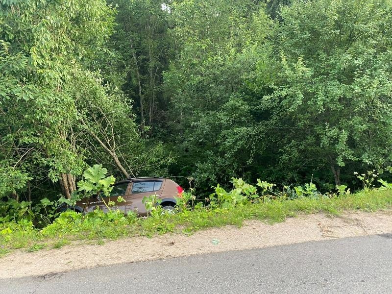 В Тверской области автомобиль съехал в кювет и врезался в дерево