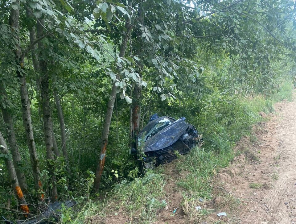 В Тверской области иномарка вылетела в кювет