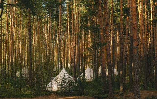 В Тверской области будут созданы новые кемпинги и модульные дома В Тверской области будут созданы новые кемпинги и модульные дома
