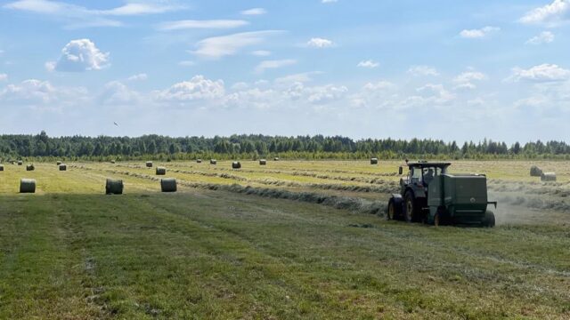 Муниципалитеты Верхневолжья наращивают показатели уборочной кампании Муниципалитеты Верхневолжья наращивают показатели уборочной кампании
