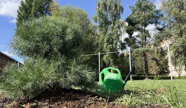 В Твери проходит Всероссийская акция «Сохраним лес»