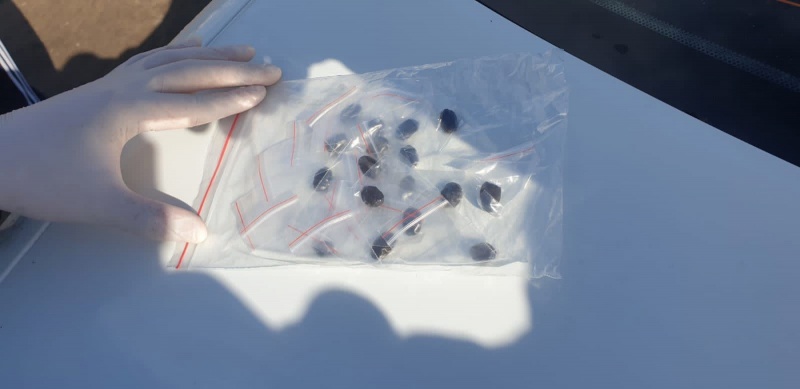 61-летнего жителя Твери задержали за сбыт наркотиков