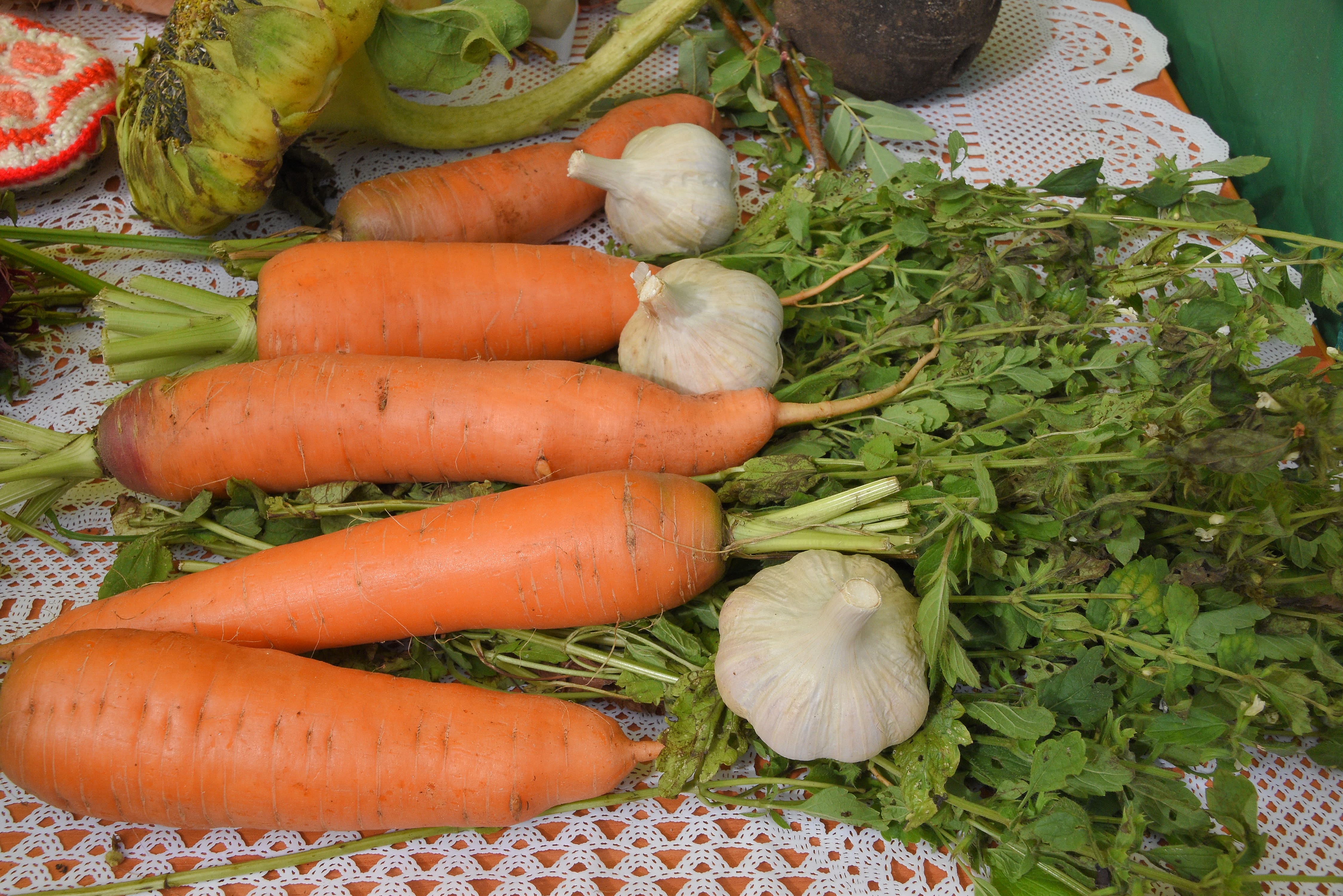 В Твери прошёл смотр-конкурс «Ветеранское подворье» В Твери прошёл смотр-конкурс «Ветеранское подворье»